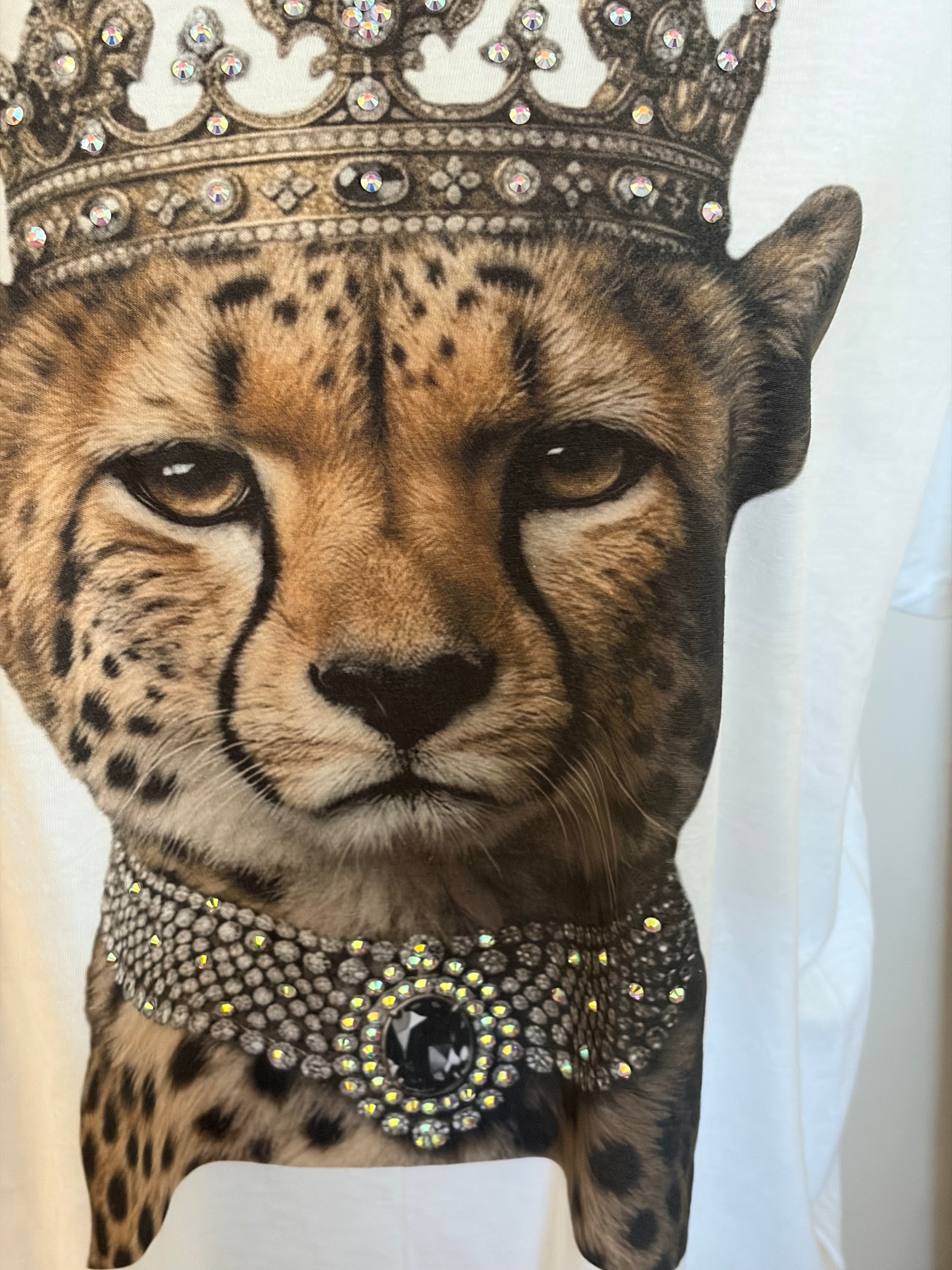 Queen cheetah